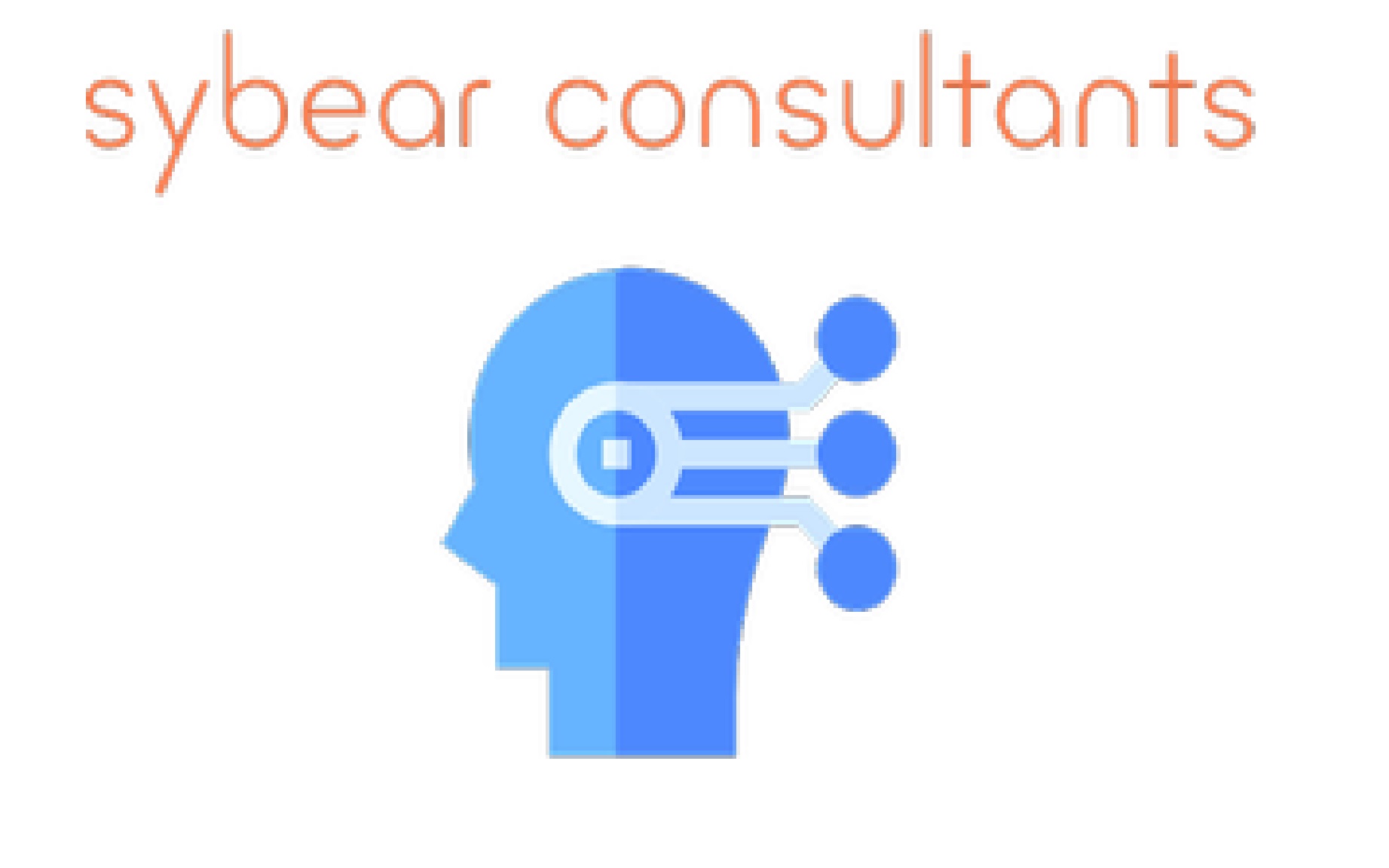 Sybear Consultants Ltd